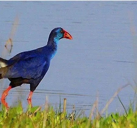 Fortaleza Mar - 2 Steps From The Sea